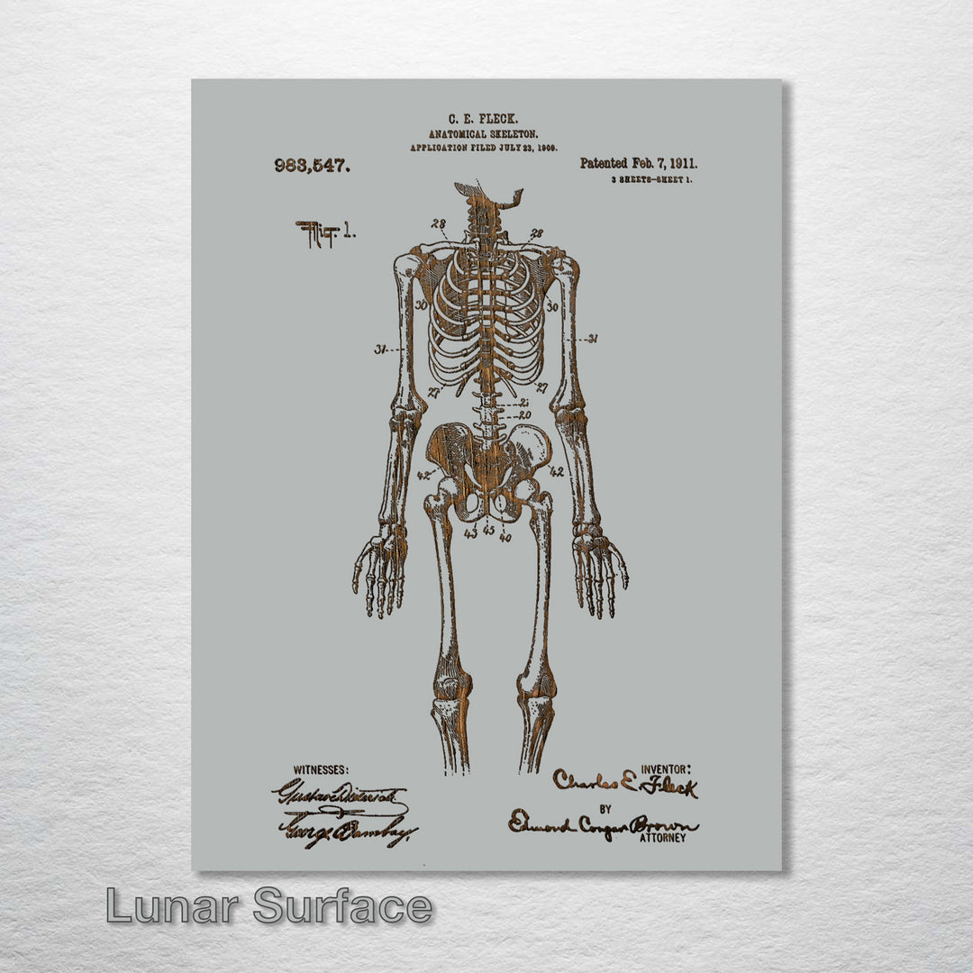 1911 Anatomical Skeleton Patent - Fire & Pine