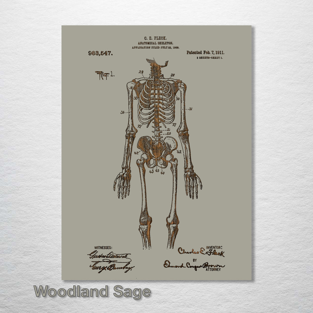 1911 Anatomical Skeleton Patent - Fire & Pine