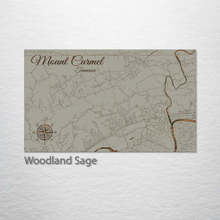 Mount Carmel, Tennessee Street Map