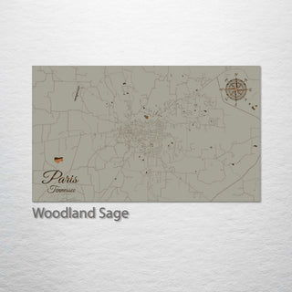 Paris, Tennessee Street Map