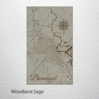 Beaumont, Texas Street Map