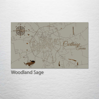 Carthage, Texas Street Map