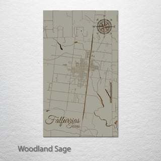 Falfurrias, Texas Street Map