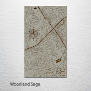 Live Oak, Texas Street Map