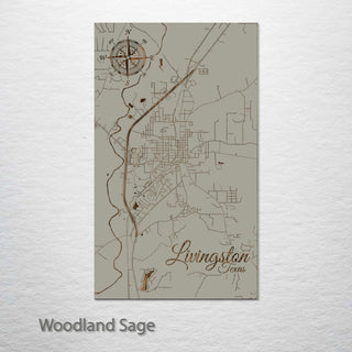 Livingston, Texas Street Map