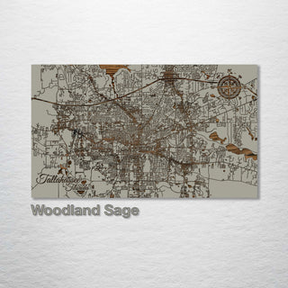 Tallahassee, Florida Street Map - Fire & Pine